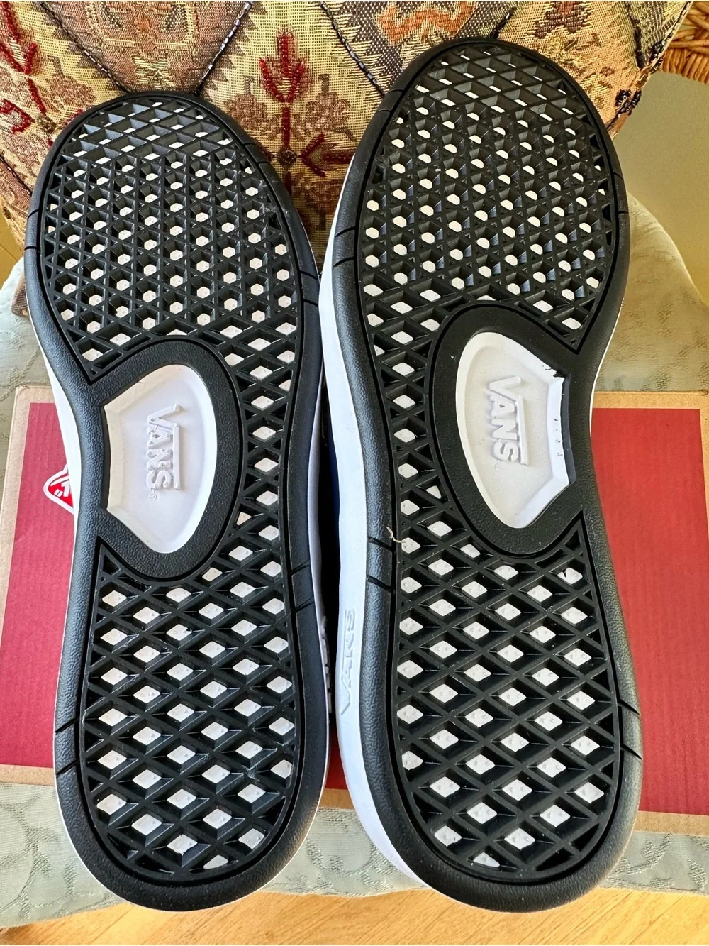 Mens Brand New Vans Lowland CC Sneakers